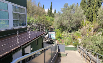 CRARC: Centre de Recuperació d'Amfibis i Rèptils de Catalunya