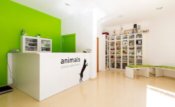 Animals Clínica Veterinària