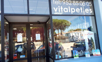 Vitalpet Clínica Veterinaria Pet Boutique