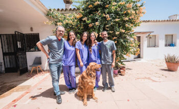 Clínica Veterinaria San Francisco de Asís