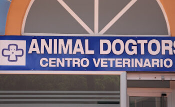 Animal Dogtors