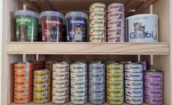 Clínica veterinaria Jaia