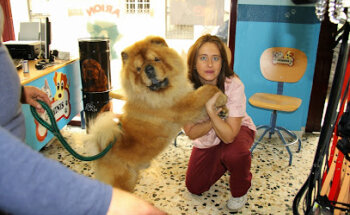 Clínica Veterinaria Géminis