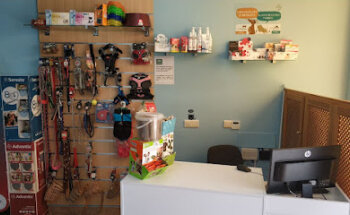 Centro Veterinario Ondina