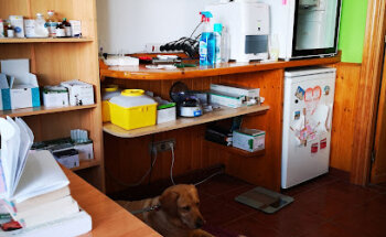 Diana Veterinary Clinic