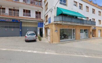 DomisVet. Veterinaria a domicilio