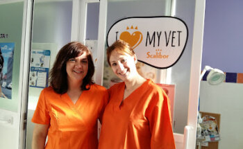 Clínica Veterinaria Méntrida