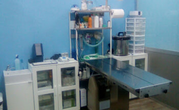 Faunia Veterinary Center - Méntrida