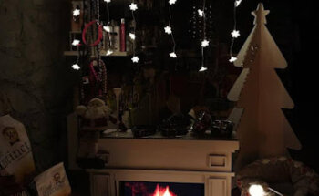 CENTRE VETERINARI NAVARCLES