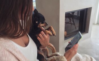 vetOnline - Veterinario por Videollamada