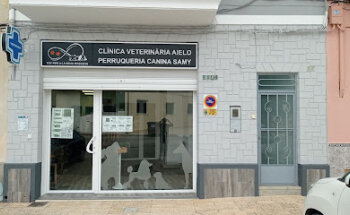 Veterinario, peluquería canina Aielo de malferit