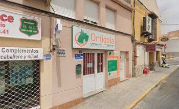 Centro Veterinario Ontigola