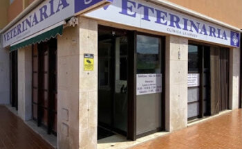 Clínica veterinaria Lejarazu