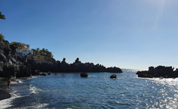 Alcala Veterinary Clinic