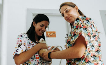 Clínica Veterinaria Okapi