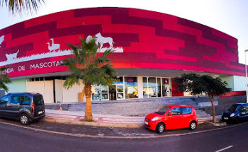 Koala Mascotas Adeje