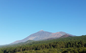 Centro Veterinario Vecan S.L.