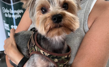 BioVet Tinajo clínica Veterinaria