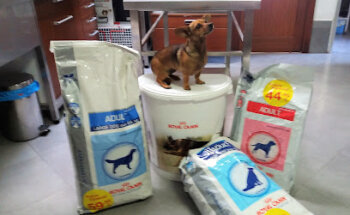 Veterinaria El Norte