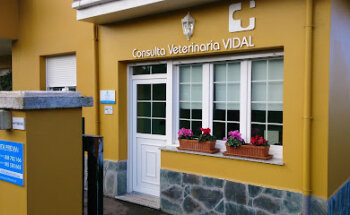 Consulta Veterinaria Vidal