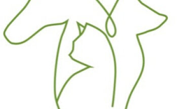 Consultorio Veterinario Clara Álvarez