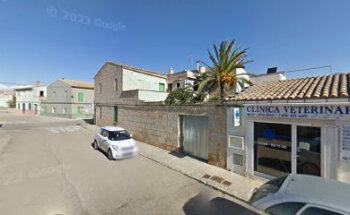 Miquel Mercadal Vaquer