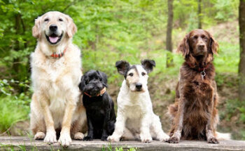 Omnialibera Supplements & Functional Foods