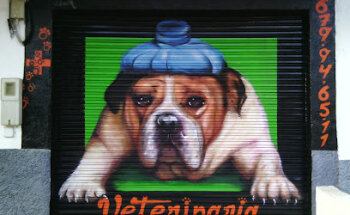 Consulta veterinaria