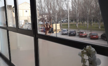 Tests & Trials | Estudios estadísticos, ensayos clínicos y nutricionales