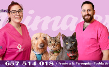 ANIMALEX CENTRO VETERINARIO