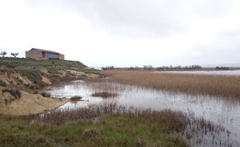 Arteta Ciaurriz Leyre Y Madurga Barrón Ros