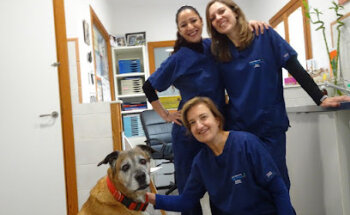 Clínica Veterinaria Es Pla - Porreres