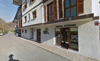 Juan Ramón Ostiz - Centro Técnico Veterinario