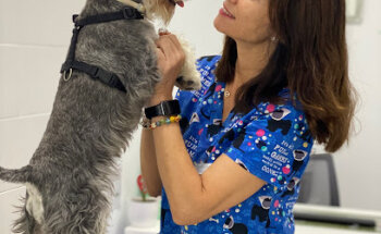 Clínica Veterinaria Blanco