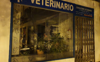 María Elvira Rey Navarro