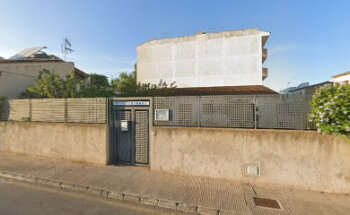 Veterinari Joan Gili Pascual