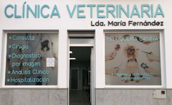 CLINICA VETERINARIA LDA. MARIA FERNANDEZ