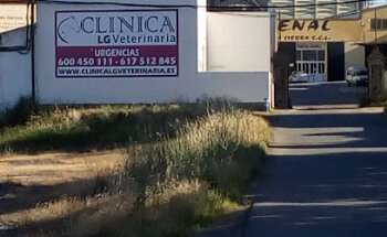 CLINICA VETERINARIA 