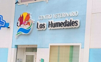 Centro Veterinario 