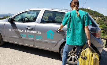 VETERINARIO A DOMICILIO. Laura García Cortés.