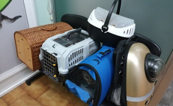 Centro de Veterinaria Doctor López