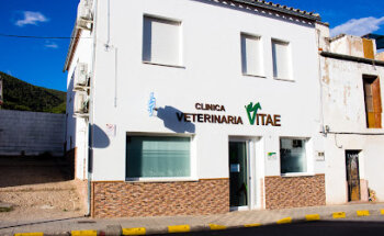 Clínica Veterinaria VITAE