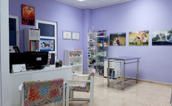 VernissaVet Centre Veterinari