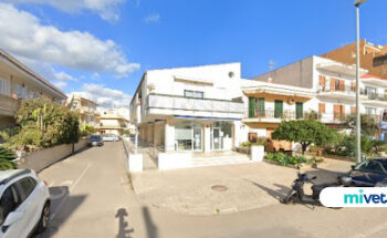 Clínica Veterinaria Alcúdia | MiVet