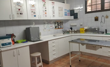 CONSULTORIO VETERINARIO NAVAHERMOSA