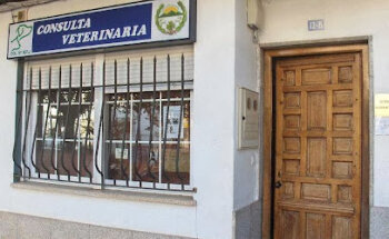 Azuvet - Veterinaria