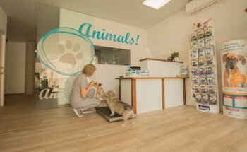 Animals! Serveis Veterinaris