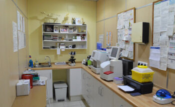 Clínica Veterinaria Arenal