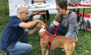 PRATDESABA VETERINARIS LLUÇANÈS
