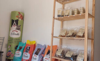 CENTRO VETERINARIO SARRIÓN